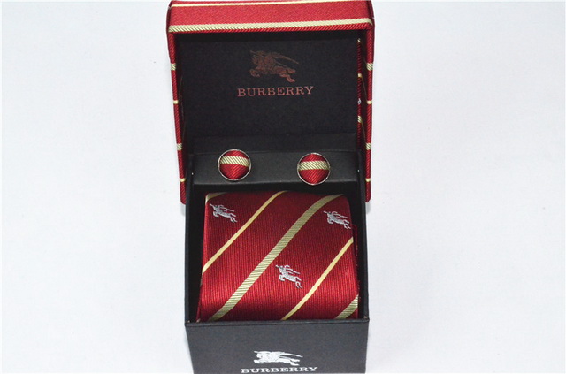 Burberry Ties 41